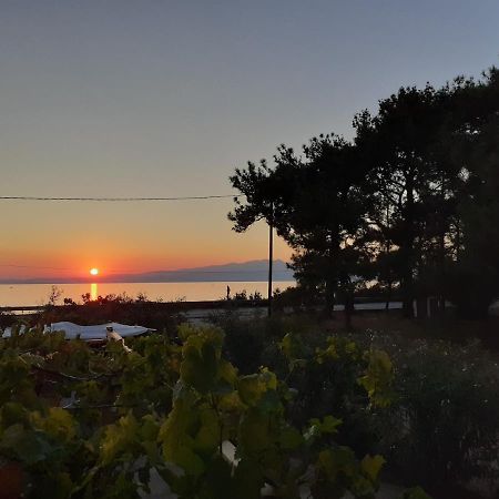 Skála Kallirákhis Το Σπίτι Με Το Πηγάδι - Wellcottage Thassos מראה חיצוני תמונה
