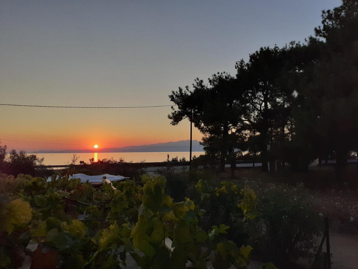 Skála Kallirákhis Το Σπίτι Με Το Πηγάδι - Wellcottage Thassos מראה חיצוני תמונה