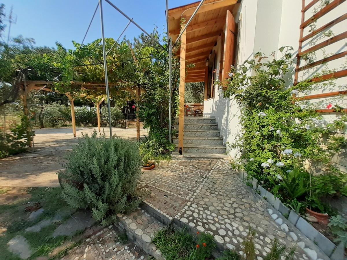 Skála Kallirákhis Το Σπίτι Με Το Πηγάδι - Wellcottage Thassos מראה חיצוני תמונה