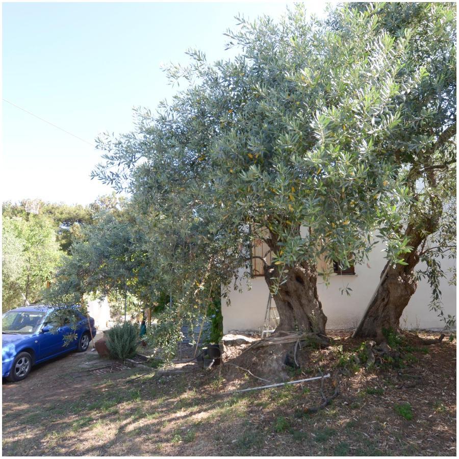 Skála Kallirákhis Το Σπίτι Με Το Πηγάδι - Wellcottage Thassos מראה חיצוני תמונה